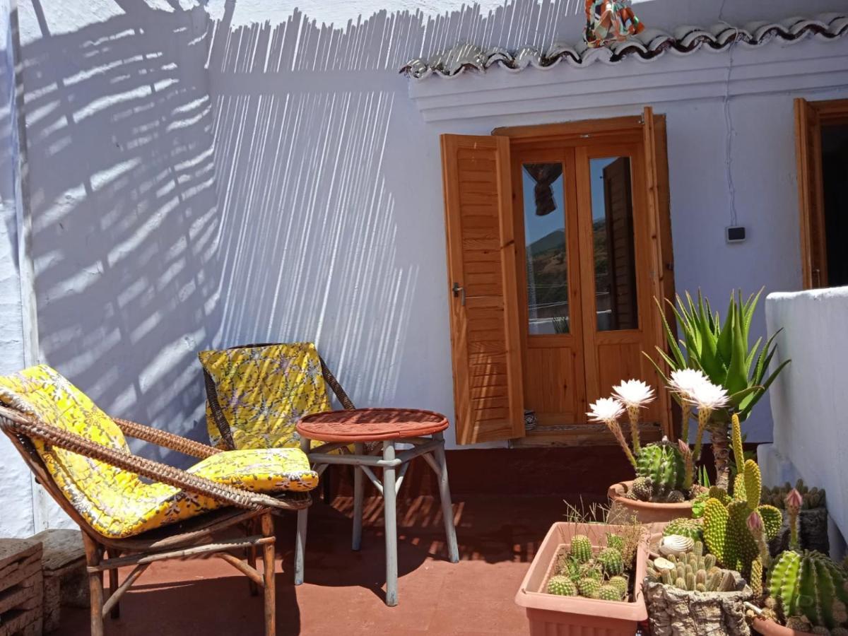 Vallparadis Pension Familiar" Firdaus" Шефшауэн Экстерьер фото
